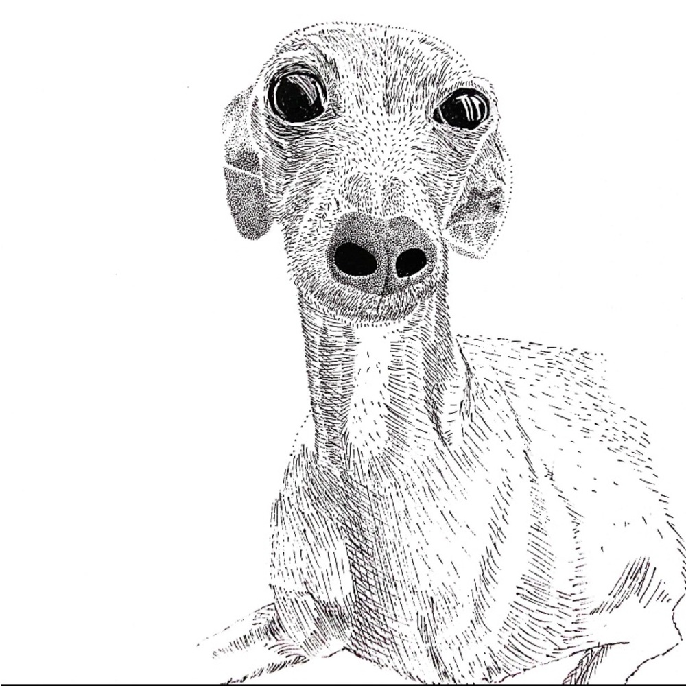 Meet your Posher, Yori